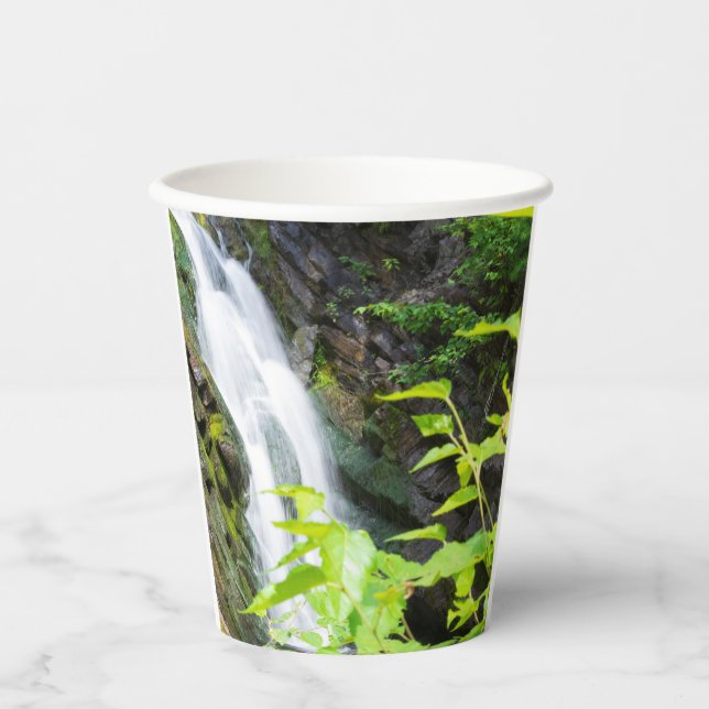 Hell's Gate Canyon waterfall Paper Cups (Front)