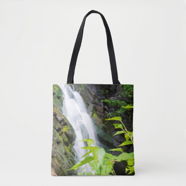Hell's Gate Canyon waterfall Tote Bag (Front)