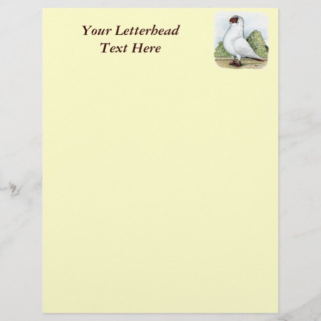 Helmet:  Red Pigeon (Front)