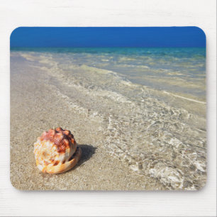 Helmet Shell In Tropical Lagoon Cassis Rufa Mouse Mat