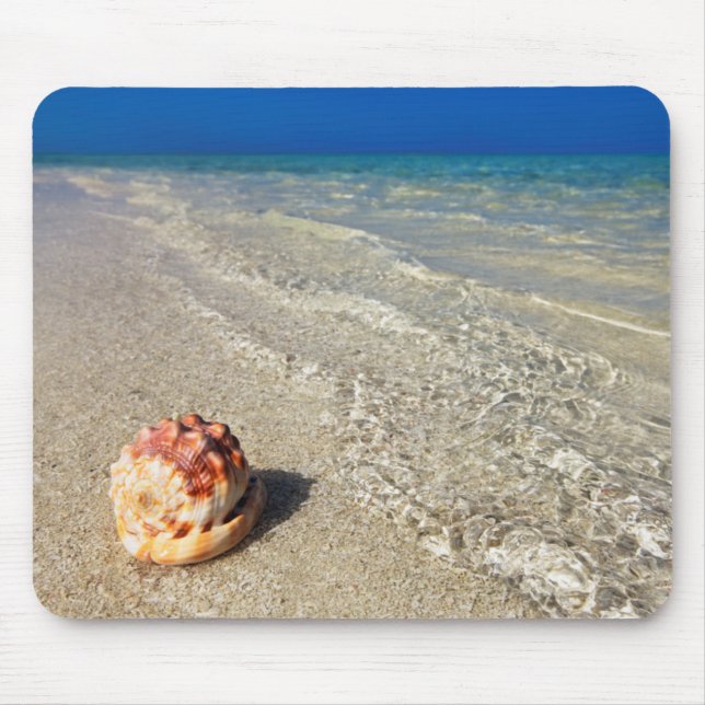 Helmet Shell In Tropical Lagoon| Cassis Rufa Mouse Mat (Front)