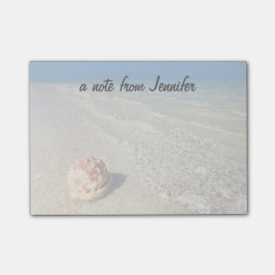 Helmet Shell In Tropical Lagoon Cassis Rufa Post-it Notes