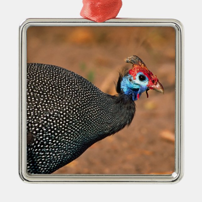 Helmeted Guinea Fowl (Numida meleagris). Africa, Metal Tree Decoration (Front)