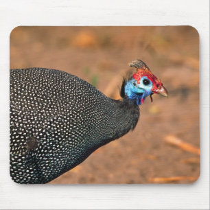 Helmeted Guinea Fowl (Numida meleagris). Africa, Mouse Mat