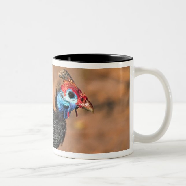 Helmeted Guinea Fowl (Numida meleagris). Africa, Two-Tone Coffee Mug (Right)