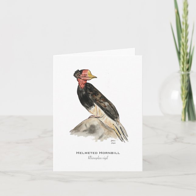 Helmeted Hornbill Folded Note Card (Front)