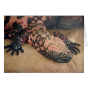 Heloderma suspectum