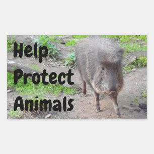 Help Protect Animals Chacoan Peccary #1 Stickers