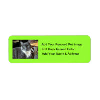 "Help Rescue The Animals Here"