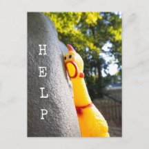 Help Rubber Chicken