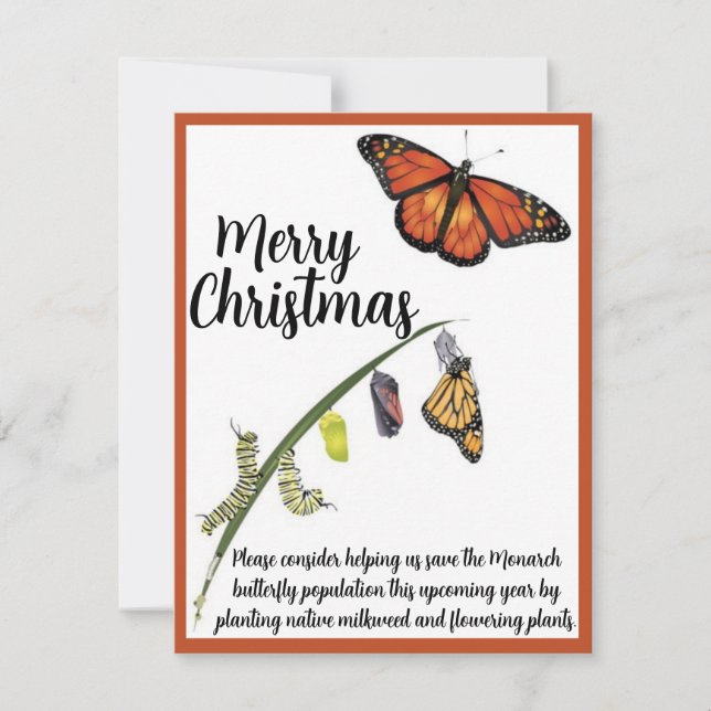 Help Save the Monarch butterfly Card (Front)
