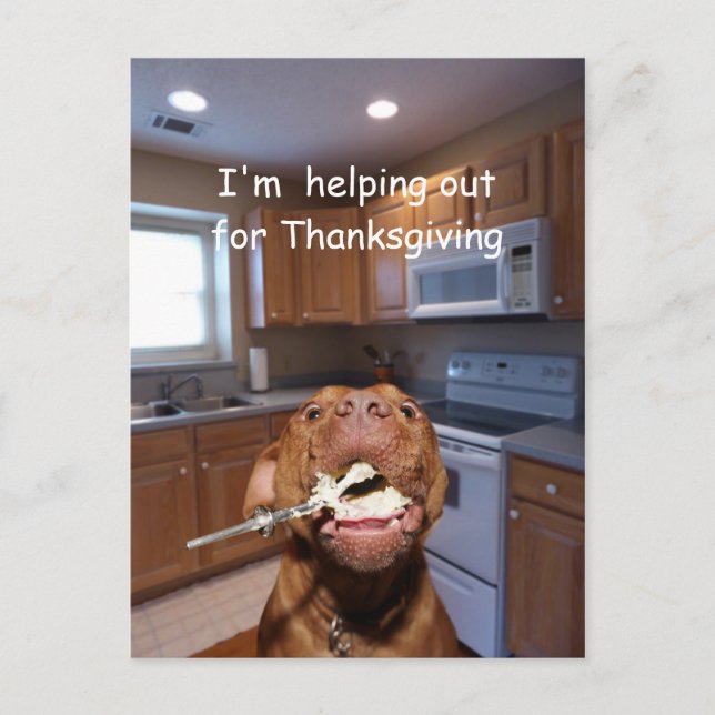 Helpful Thanksgiving dog Holiday Postcard (Front)