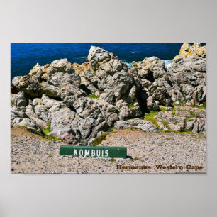 Hemanus Rocks,Western Cape Poster
