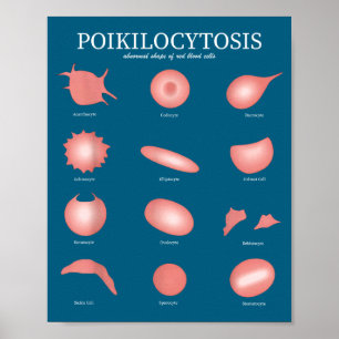 Hematology Red Blood Cell Laboratory Science Hemat Poster