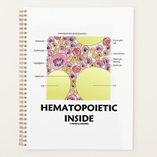 Hematopoietic Inside Blood Cell Formation Planner