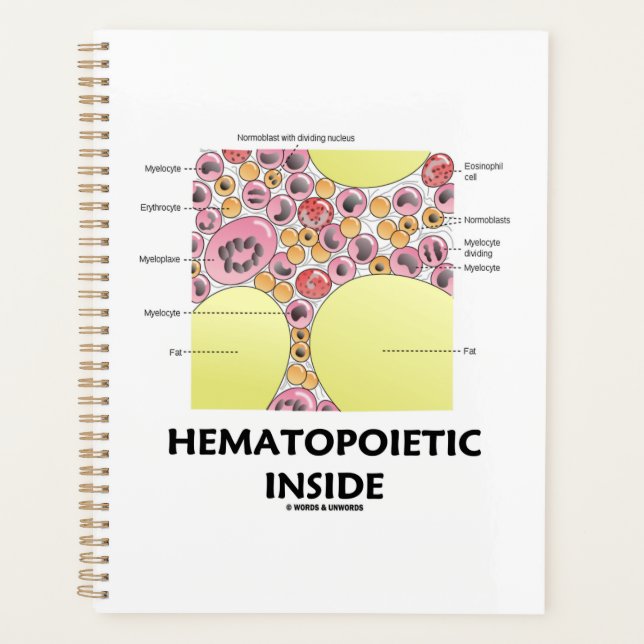 Hematopoietic Inside Blood Cell Formation Planner (Front)