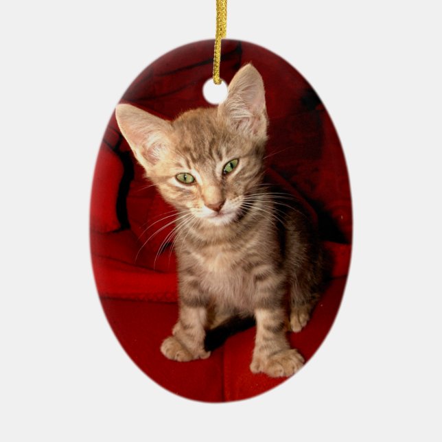 Hemingway Cat Ceramic Tree Decoration (Front)