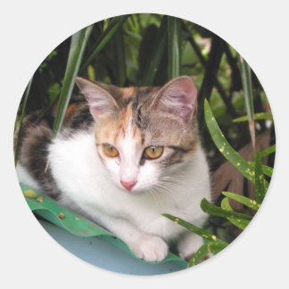 Hemingway Cat Classic Round Sticker