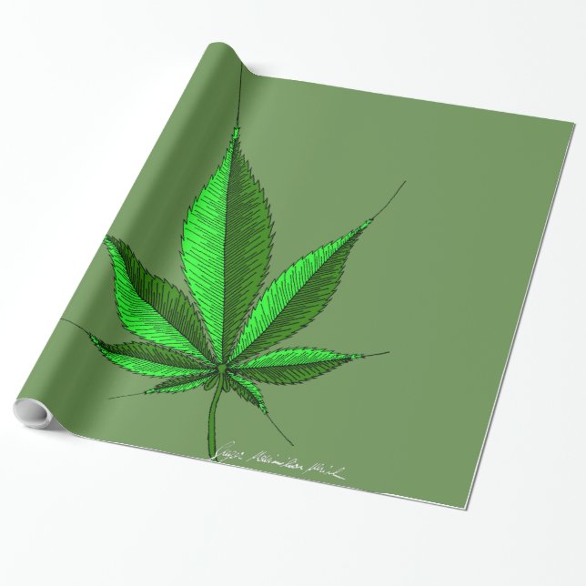 Hemp leaf 14 wrapping paper (Unrolled)