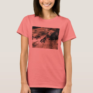 Hen And Baby Chicks Shirt