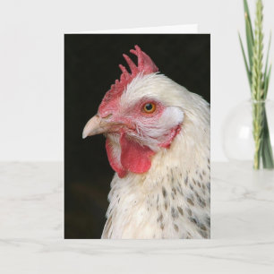 Hen Birthday card in Czech