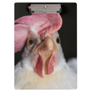 Hen Clipboard