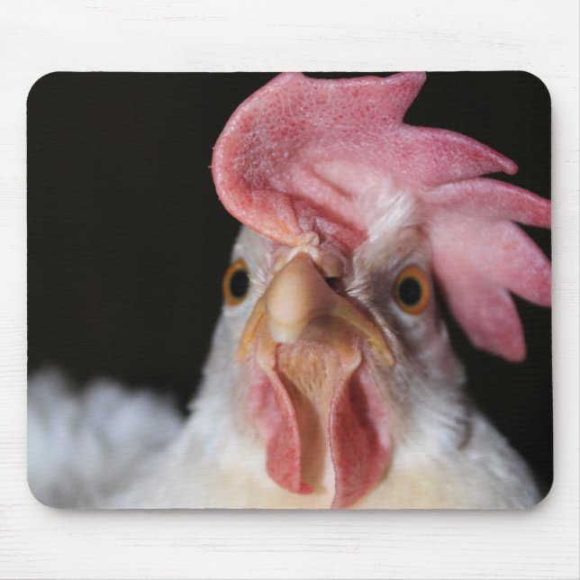 Hen Mouse Mat (Front)