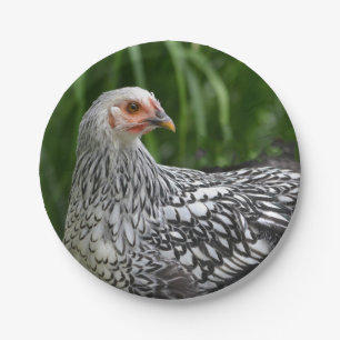 Hen Paper Plate