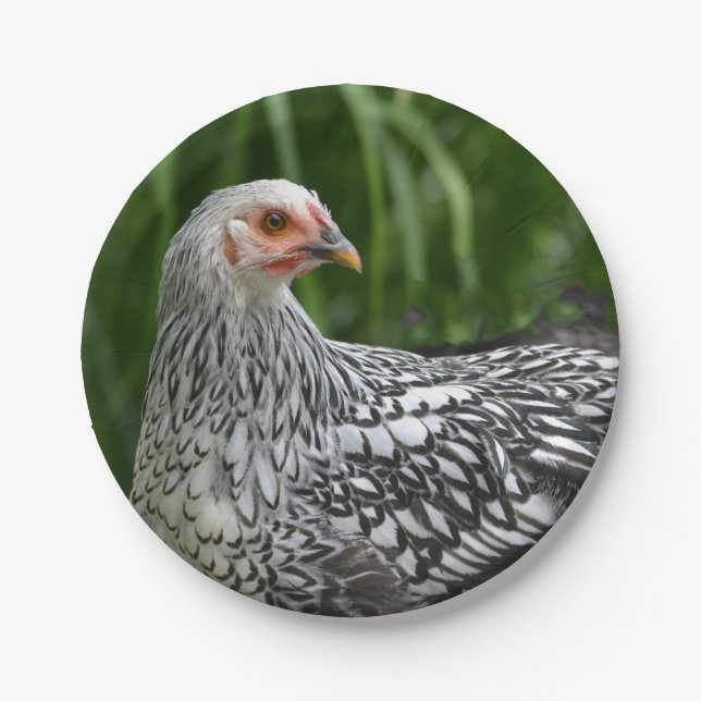 Hen Paper Plate (Front)