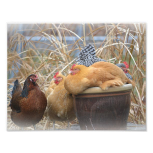 Hen Party Photo Print