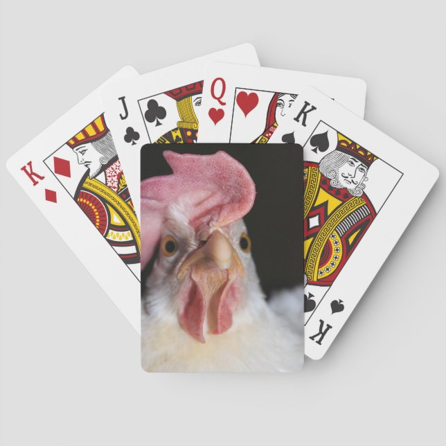 Hen Playing Cards (Back)