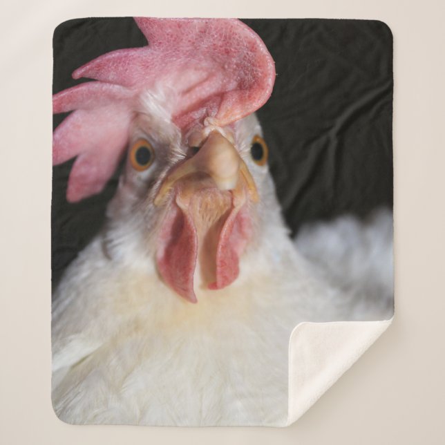 Hen Sherpa Blanket (Front)