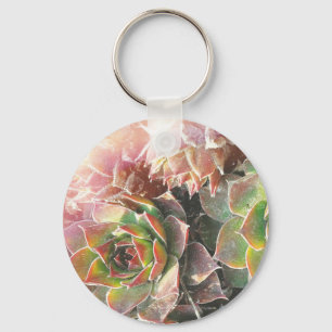 Hen snd Chick Plants, Succulents, Plant Photograph Key Ring