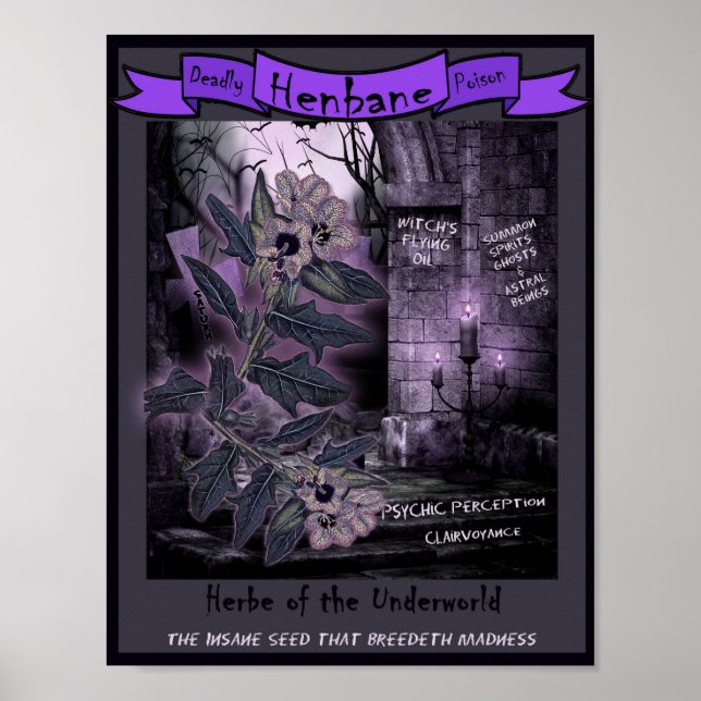 HENBANE WITCH'S HERB POSTER (Front)