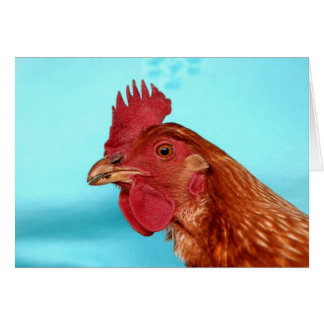 Henny Penny