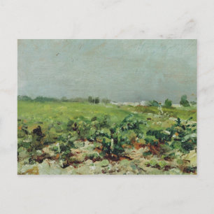 Henri de Toulouse-Lautrec   Celeyran, View of the  Postcard