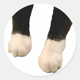 Henri Sticker - Feet!