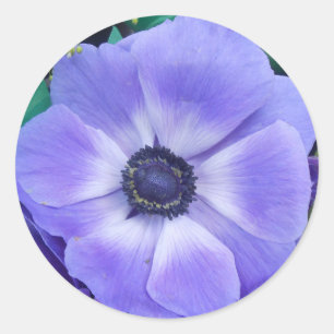 Henrietta Classic Round Sticker