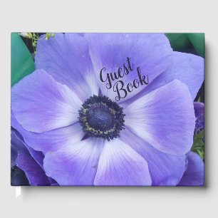 Henrietta Guest Book