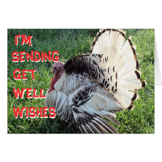 Henry8833-customise any occasion (Front Horizontal)