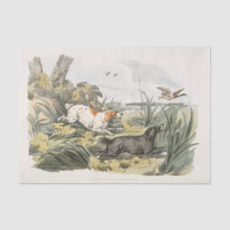 Henry Alken | Hounds on the Hunt Tissue Paper