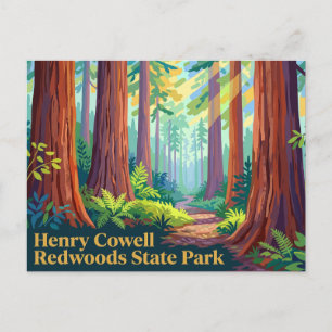 Henry Cowell Redwoods State Park California Postcard
