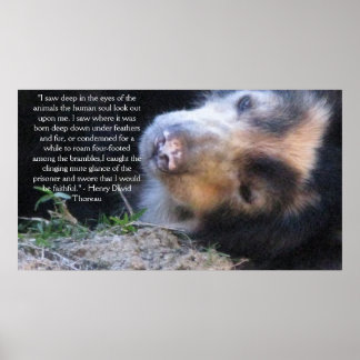 Henry David Thoreau  ANIMAL RIGHTS Quote Poster
