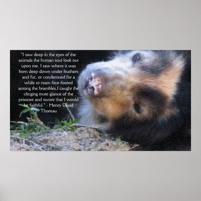 Henry David Thoreau  ANIMAL RIGHTS Quote Poster (Front)