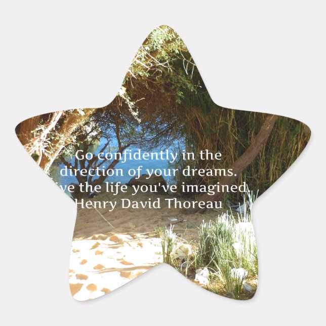 Henry David Thoreau Motivational Dream Quotation Star Sticker (Front)