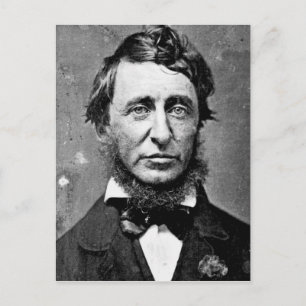 Henry David Thoreau Postcard