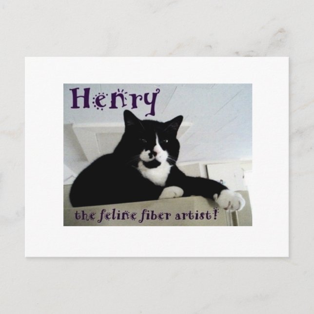 Henry the Feline Fibre Artist Post Card (Front)