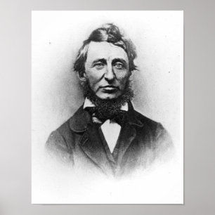 Henry Thoreau Poster