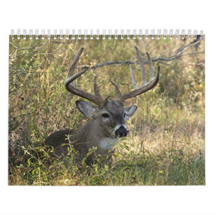 Henry's Wildlife 2008 - Customised Calendar