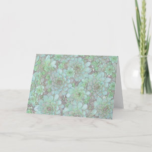 Hens And Chicks Card